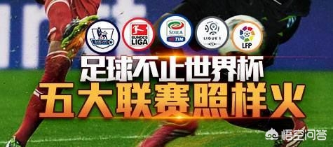 cctv体育足球_cctv体育足球主持人