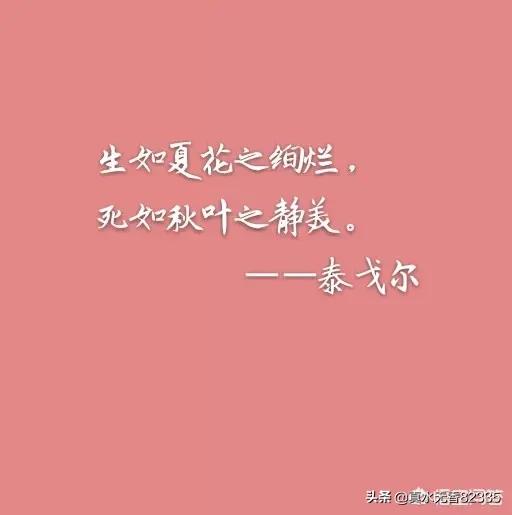 来到这个世上_狗狗死后多久可以投胎重新来到这个世上