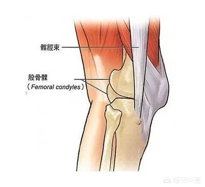 练体育膝盖疼怎么治_练体育膝盖疼怎么治疗