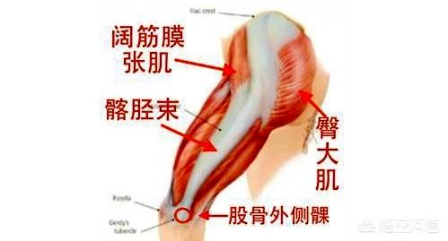 练体育膝盖疼怎么治_练体育膝盖疼怎么治疗