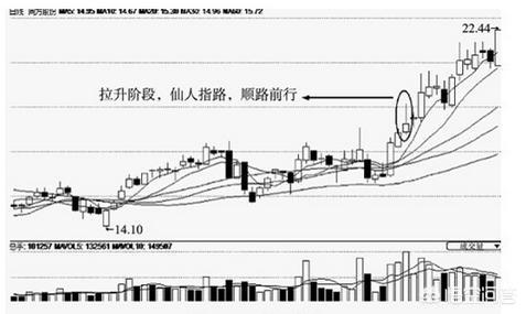 仙人指路澳门资料全网最准_仙人指路开奖结果最准的网站