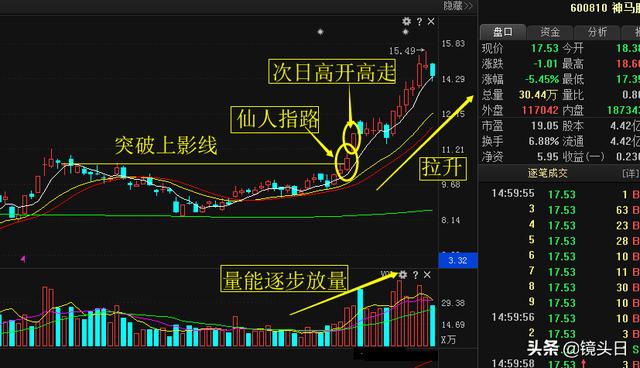 仙人指路澳门资料全网最准_仙人指路开奖结果最准的网站