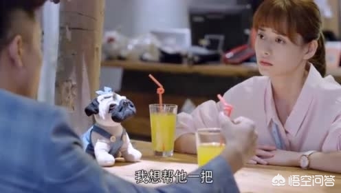 电视剧我想和你在一起免费观看全集_电视剧我想和你在一起免费观看全集高清