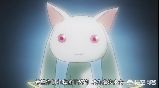魔法少女小圆_魔法少女小圆在线观看免费完整版