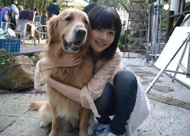 偷狗的完美方法_偷狗的完美方法在线观看全集