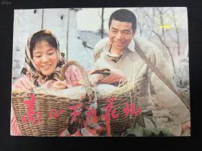 高山下的花环_高山下的花环在线观看完整版电影