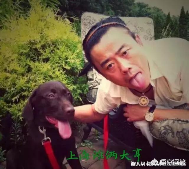 难寻电视剧免费观看全集完整版高清_难哄电视剧免费观看全集完整版高清8k