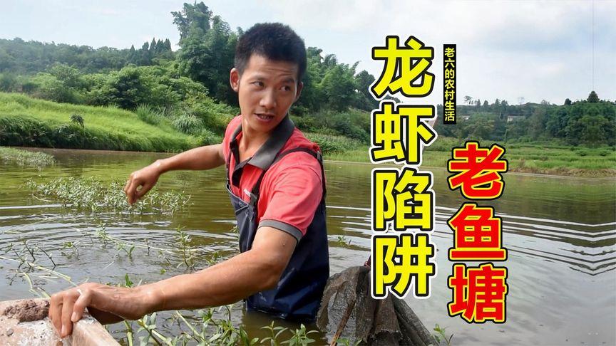 澳门一肖一码一待一中和把西瓜扔鱼塘喂鱼与把西瓜扔鱼塘喂鱼好吗