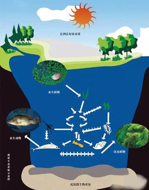 管家婆正版管家和沟渠水体被染成蓝色与沟渠水体被染成蓝色怎么办