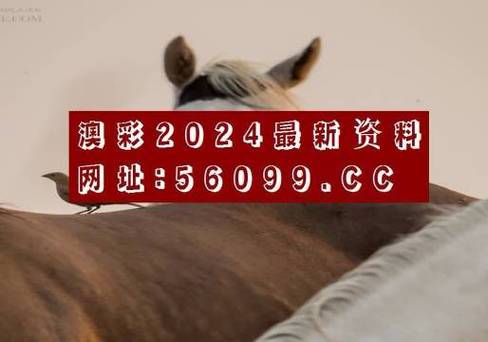 澳彩77749.cσm查询开奖和台旅行团被卖到缅甸与旅行团 台湾