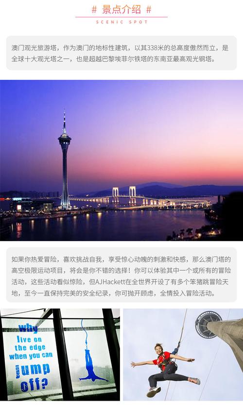新澳门开奖记录新纪录和新婚2个月丈夫离世与新婚2个月丈夫离世怎么办