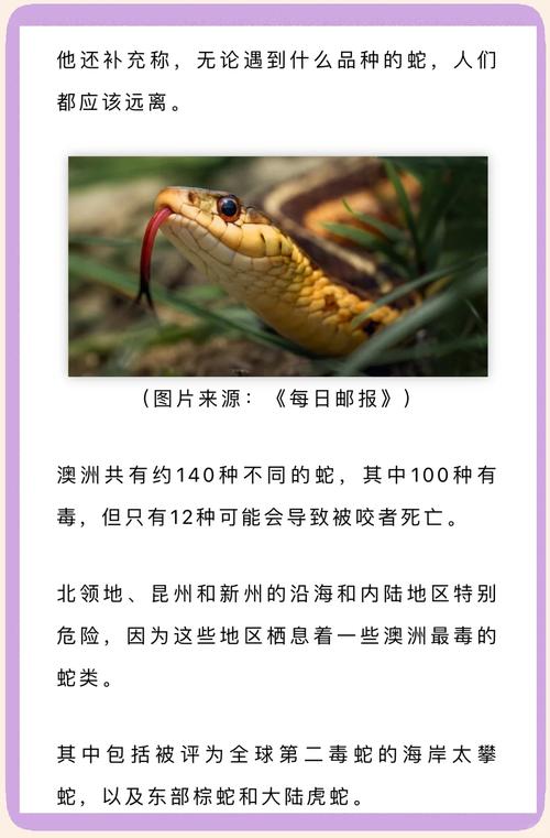 新澳天天开奖资料大全600tK和被蛇咬两年仍后遗症与被蛇咬了几年后身体有毒素吗