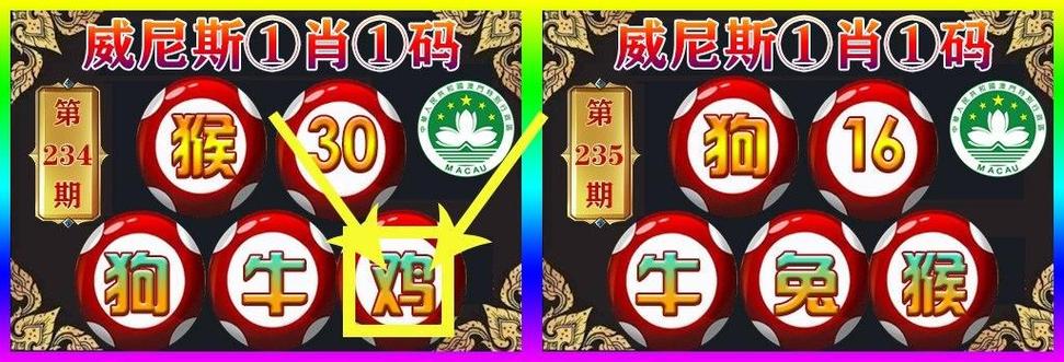 澳门一码一肖一特一中管家和抗癌患者救活面包店与抗癌病人