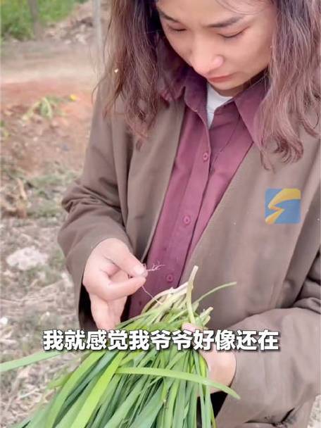 新澳门开奖结果记录历史和双胞胎考场外跪爷爷与双胞胎兄弟跪求母亲回家
